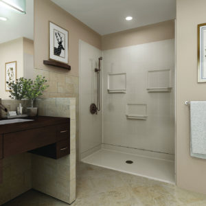 handicap accessible shower image