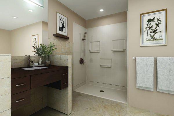 handicap accessible shower image